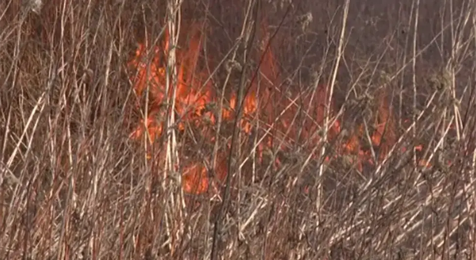 Народ пали ниско растиње, ватрогасци на мукама