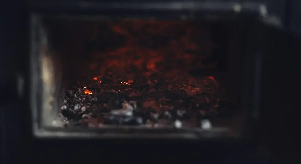 Пепео шпорет
