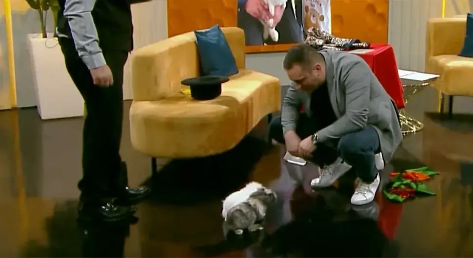 Магија у студију АТВ-а: Ево које трикове је извео мађионичар Младен