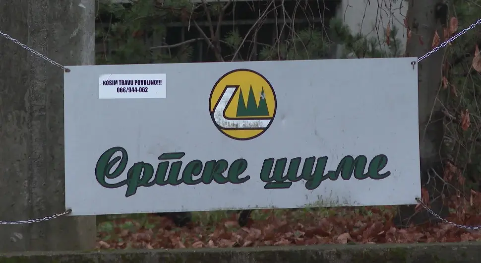 Напредак у раду "Шума Српске" видљив, али још увијек недовољан