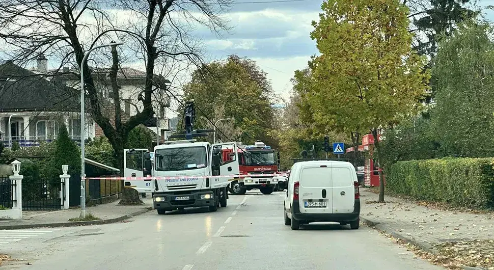 Паук закачио и порушио каблове