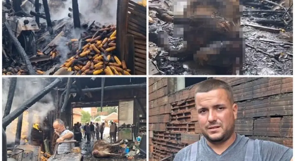 "Трактор је изазвао пожар, крава је лежала мртва насред дворишта" Стравичне сцене на имању породице Љубеновић