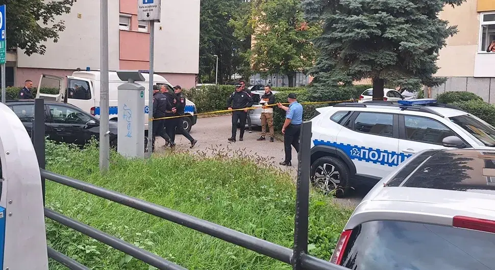 Хапшење Борик