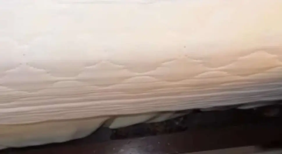 Рак испод хотелског кревета