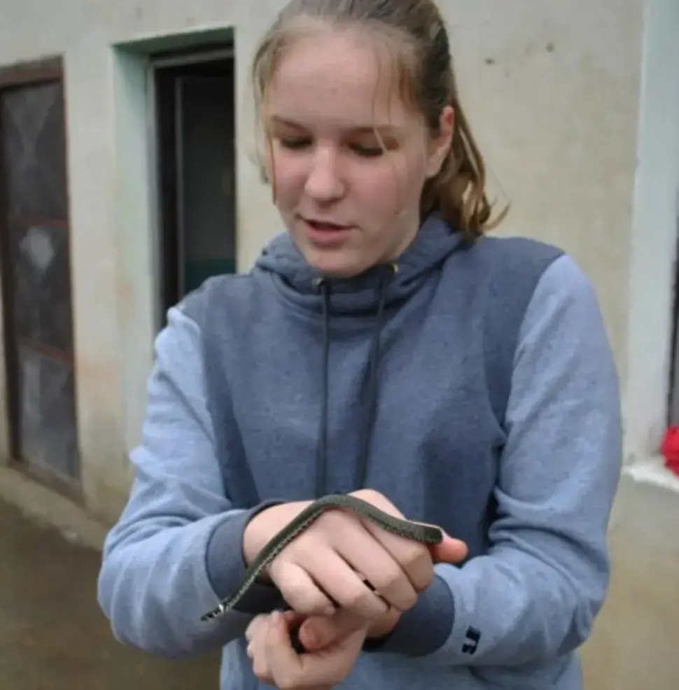 Тања Баришић