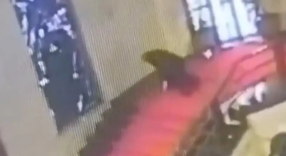 Политичар се саплео силазећи низ степенице и главом разбио витраж непроцјењиве вриједности