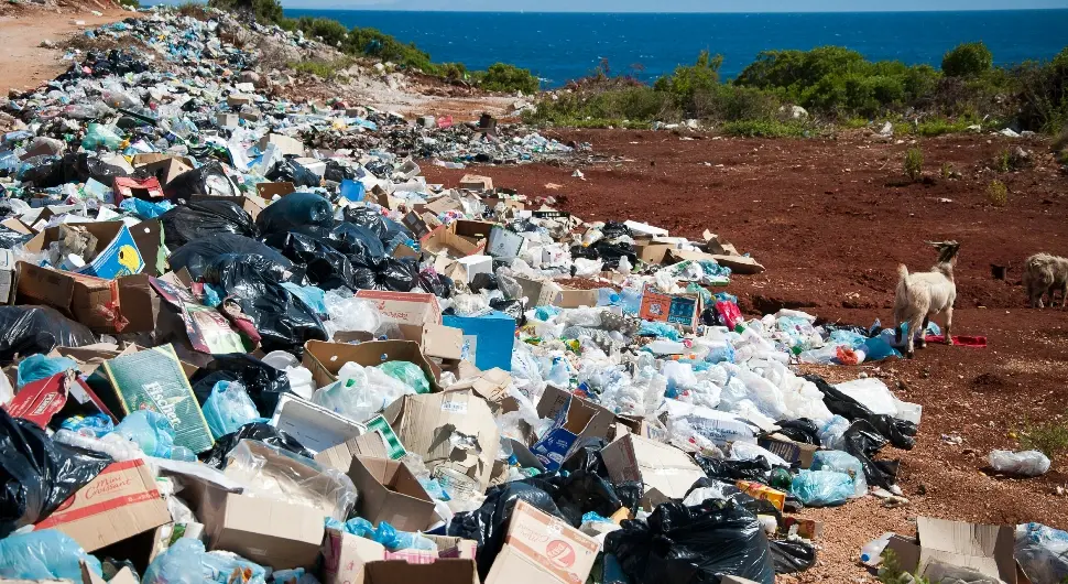 Човјек у смећу пронашао старе слике, шокирао се када је схватио колико вриједе