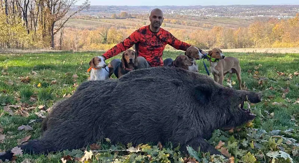 Душко га је пустио да му приђе на 20 метара! Одстријелио грдосију од 224 kg