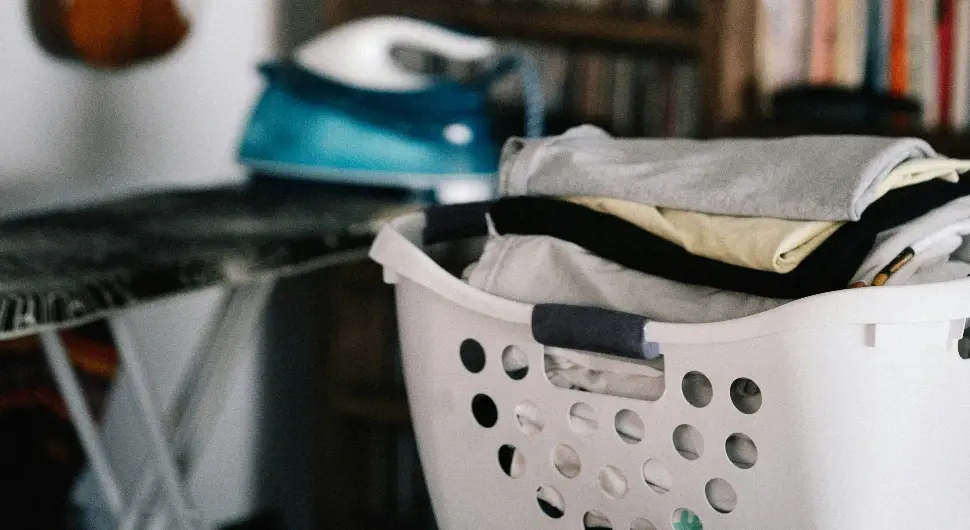 Отворили корпу за веш и пронашли једно од најотровнијих бића на свијету