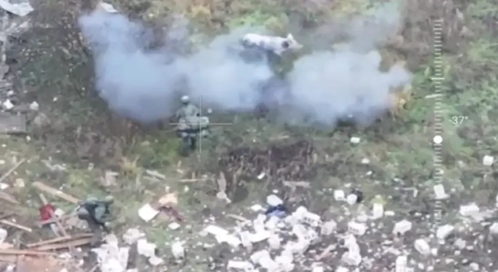 Неочекивани херој: Свиња спасила двојицу руских војника од нагазне мине