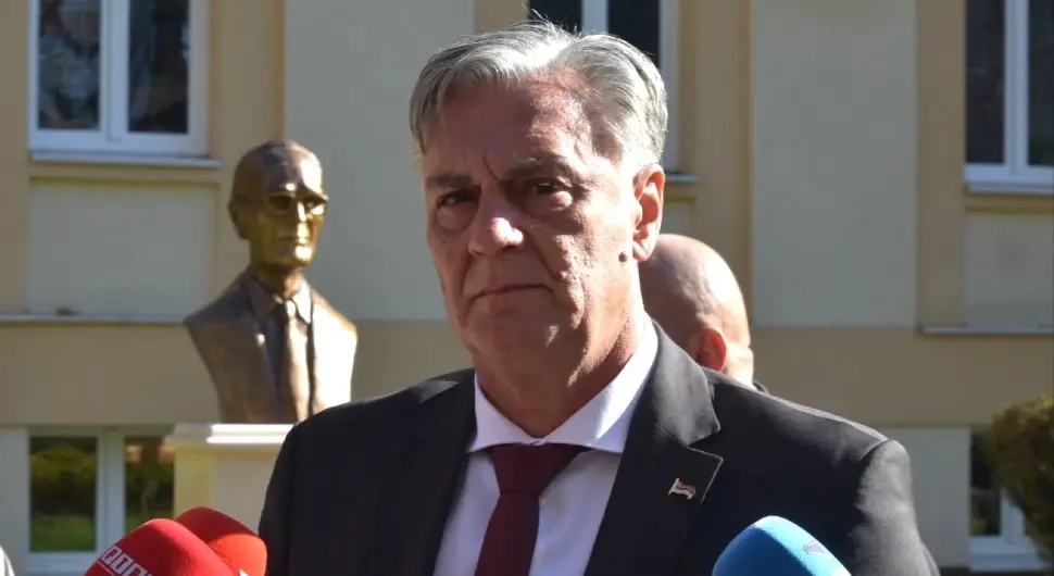 Каран: Одлука Уставног суда БиХ - врхунац антидејтонског дјеловања