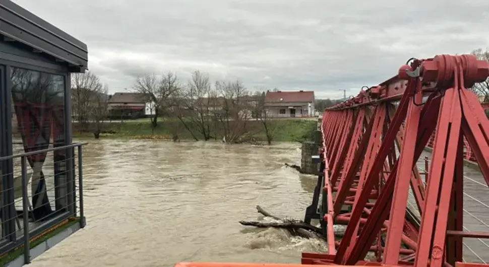 Врбас у порасту