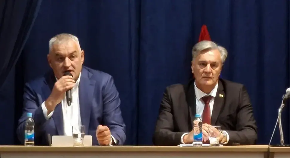 Синиша Каран