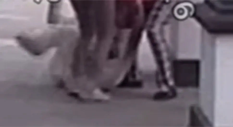 Насиље у ријалитију Елита