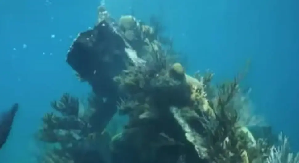 Шок у Бачком каналу, откривено нешто још из 1944. године!