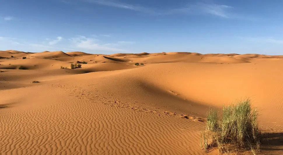 Драматичне промјене у Сахари, научници шокирани