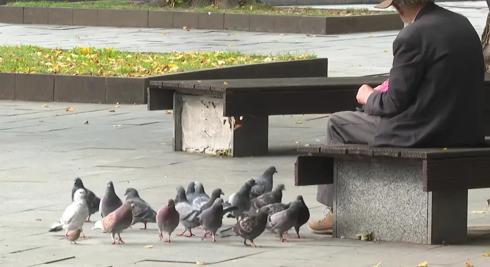 Свјетски дан толеранције- колико смо као друштво толерантни?