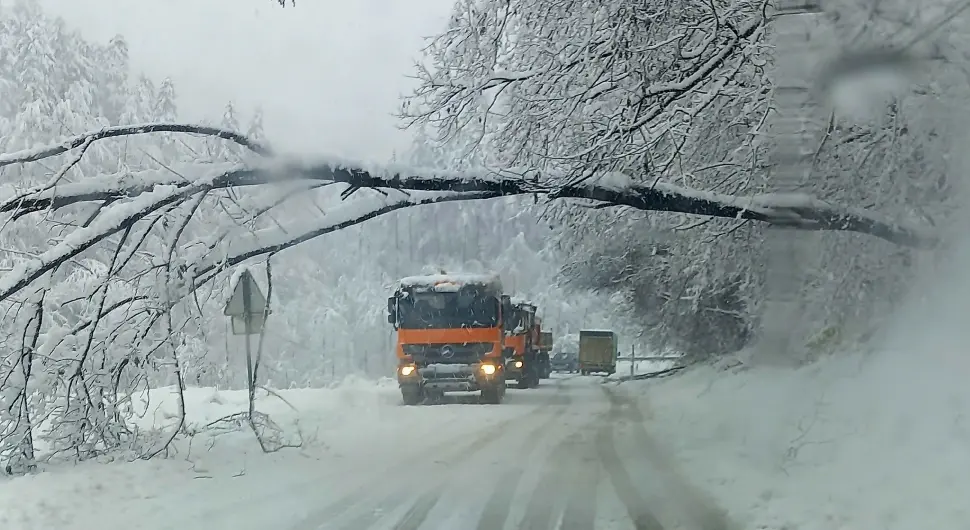 Отежано саобраћање на путу Теслић – Чечава због палог дрвета