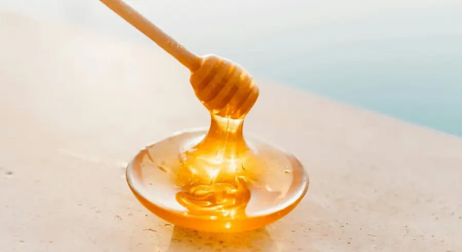 Romanija honey nominated for protection with a designation of origin