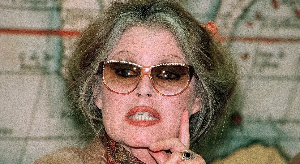 Посљедњи дани Брижит Бардо; Тешка борба и неколико хоспитализација