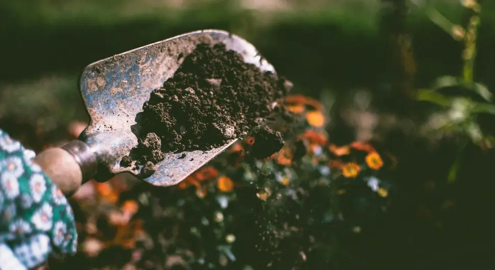 Факултет истражио митове о храни: Је ли земља јестива?