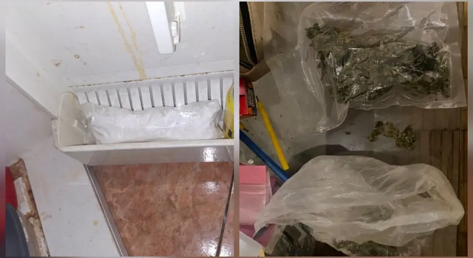 У фрижидеру крио дрогу