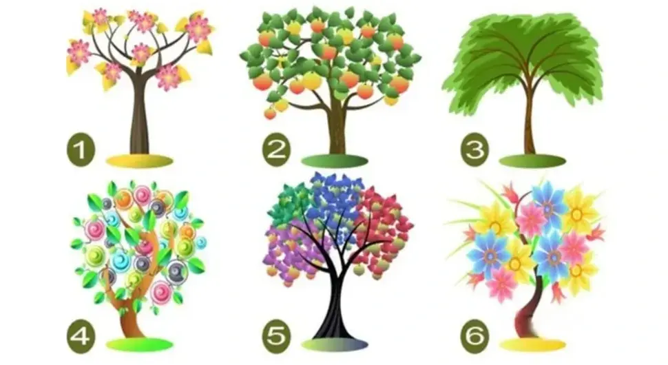 Изаберите стабло и сазнајте истину о себи