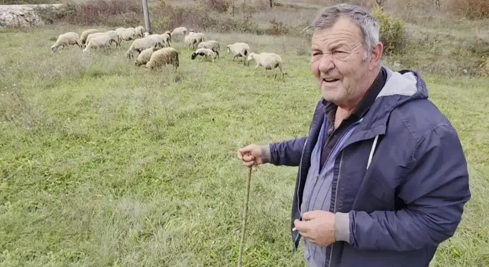 Стипе Шимић