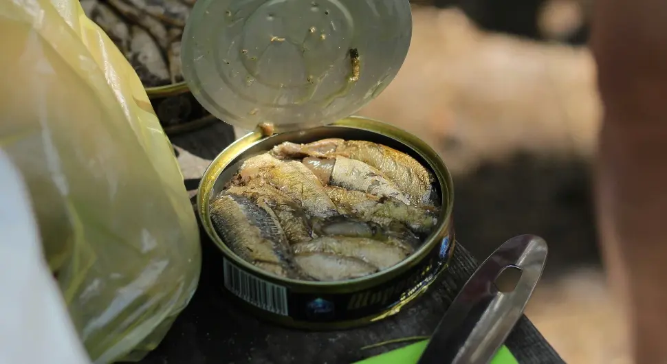 Колико је риба из конзерве опасна? Стручњаци упозорили на једну ствар