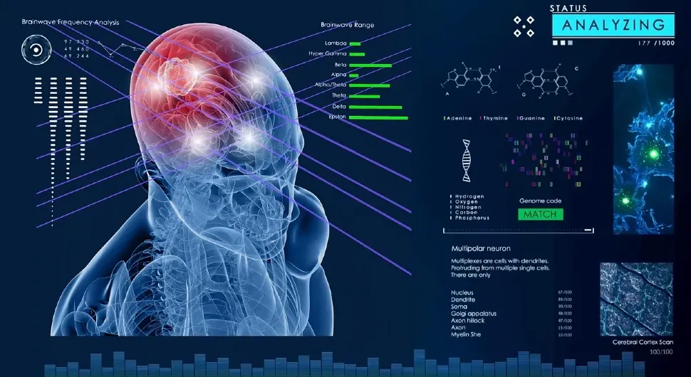 Какве промјене у мозгу може да изазове исхрана заснована на посту