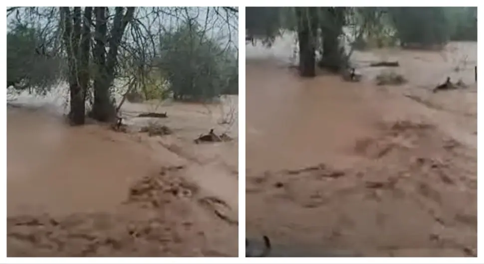 Поплављени путеви, затворене школе: Олуја изазвала хаос