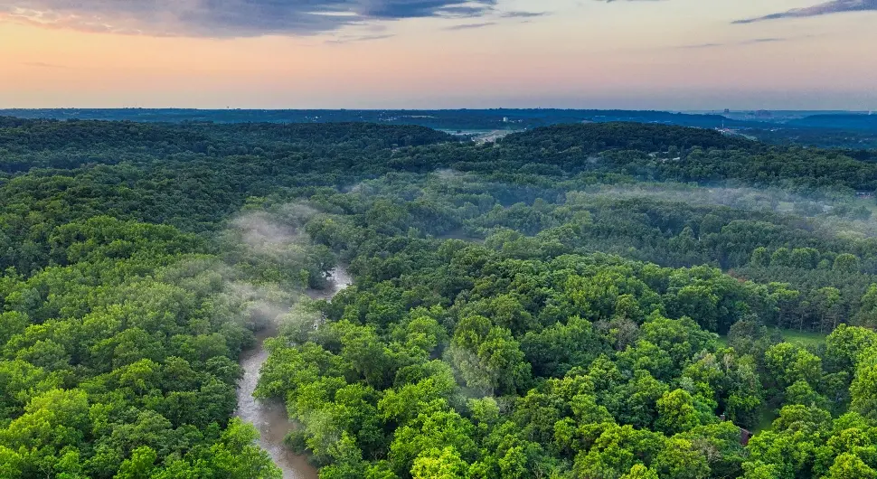 Прашума Амазон