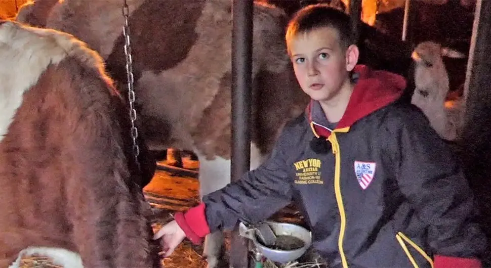 Асим Опардија са својим кравама