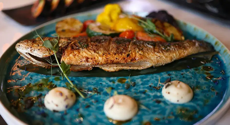 илу-риба-пост-09122025