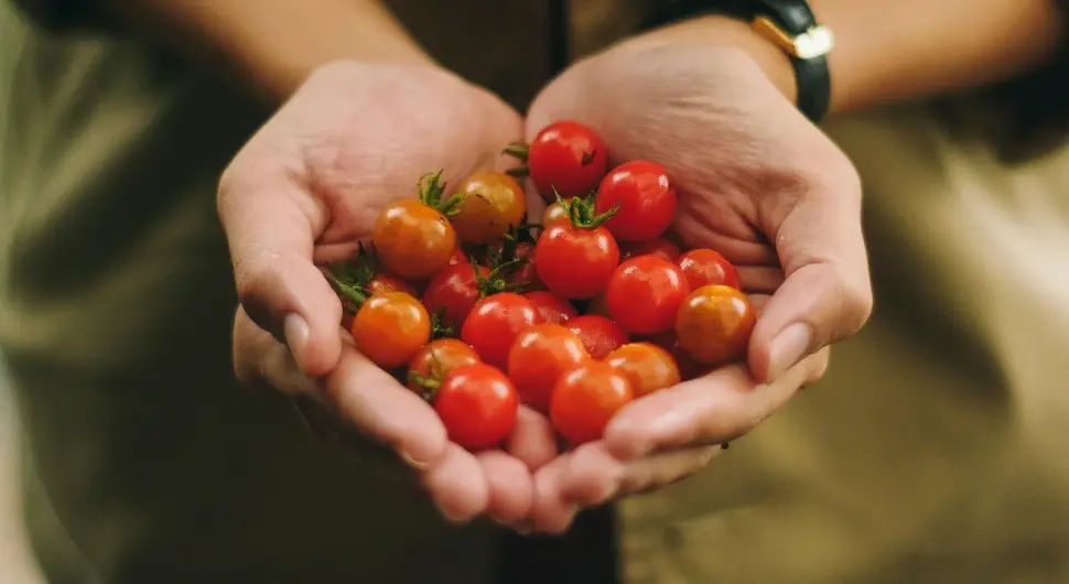 Пун пестицида: Са тржишта се повлачи чери парадајз