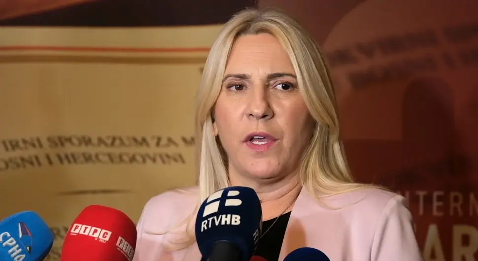 Цвијановић: БиХ треба да се врати себи, а то значи распустити ПИК и укинути бонска овлаштења