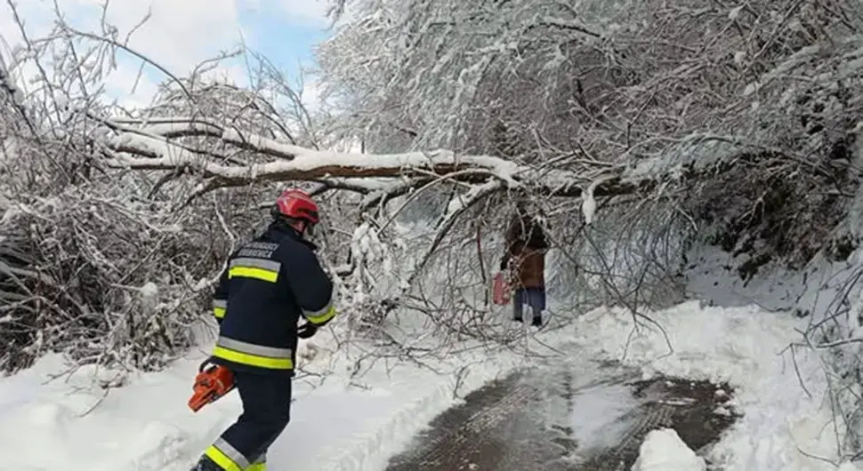 Снијег поломио дрвеће - ватрогасци рашчишћавају путеве
