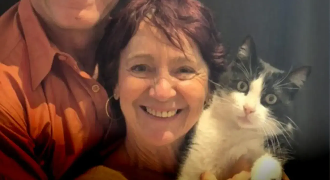 Мачак пронашао пут до куће