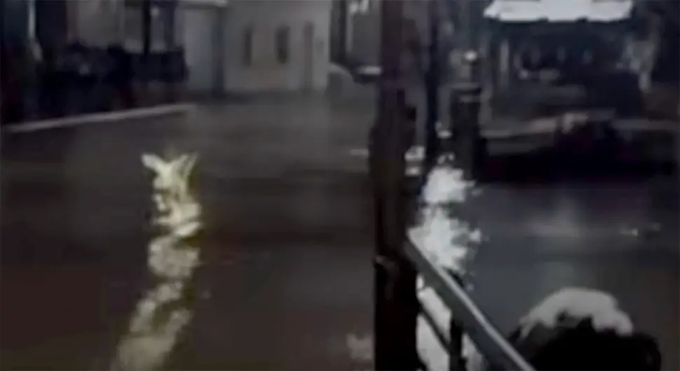 Излила се Неретва код Коњица