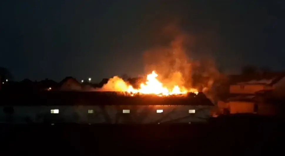 гори фарма свиња у Гојсовцу код бијељине