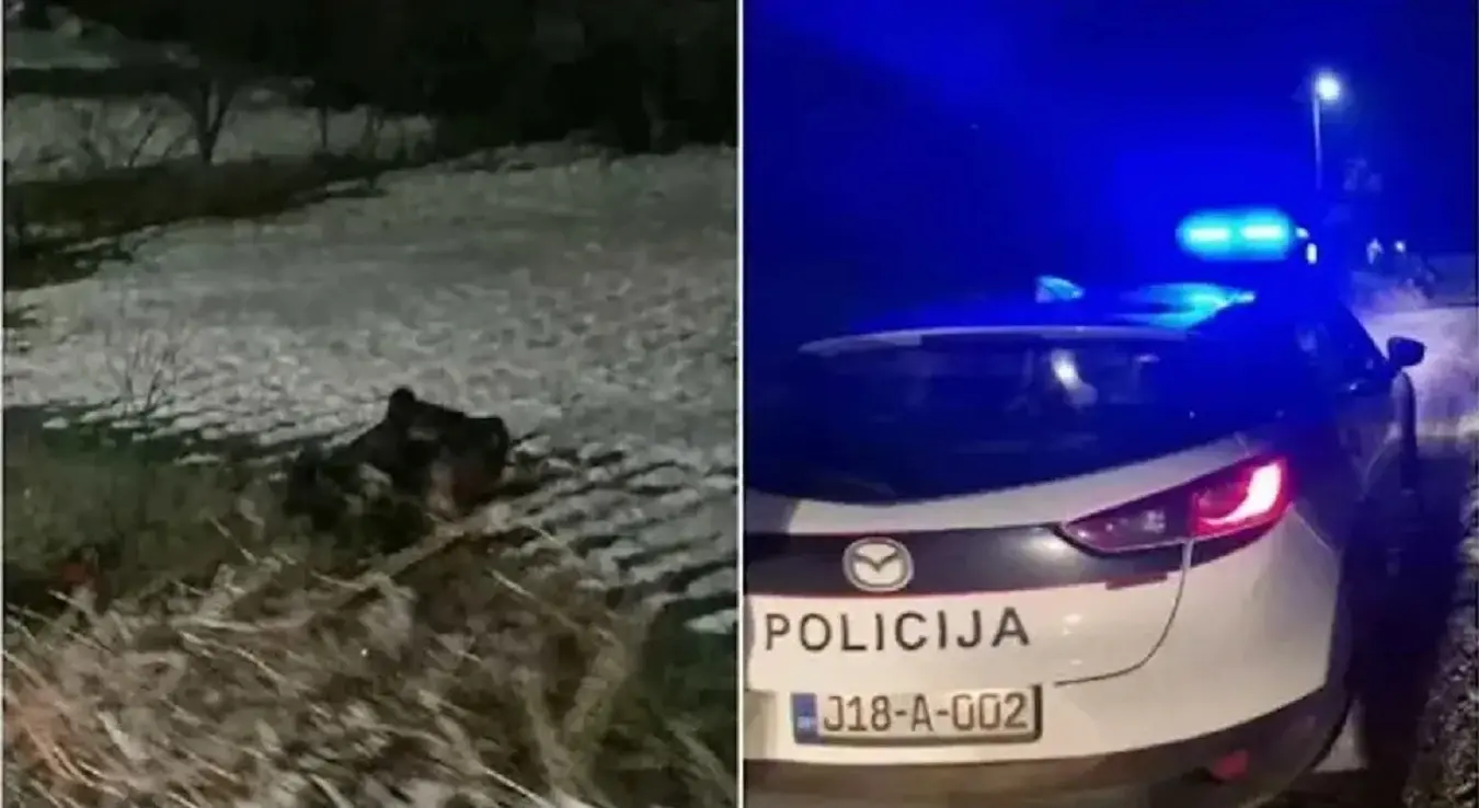 Драма у БиХ: Пијан возио и слетио с цесте, па покушао побјећи, ухапшен је