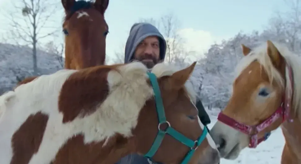 Никола Борић