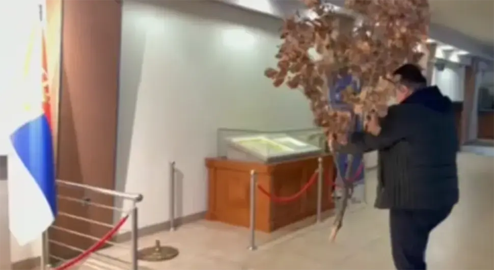 Стевандић унио бадњак у Народну скупштину