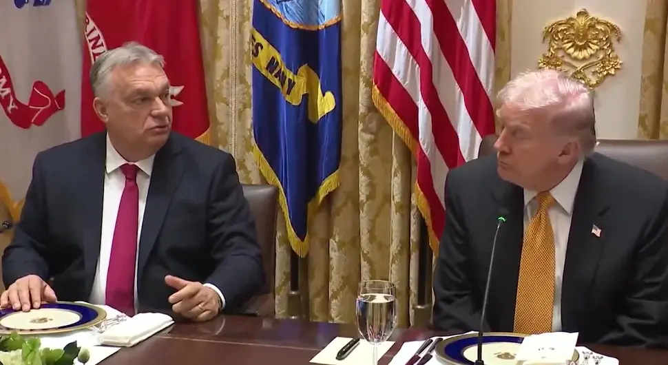 "Побједа Орбана и Трампа значиће крај политике туторства над БиХ"