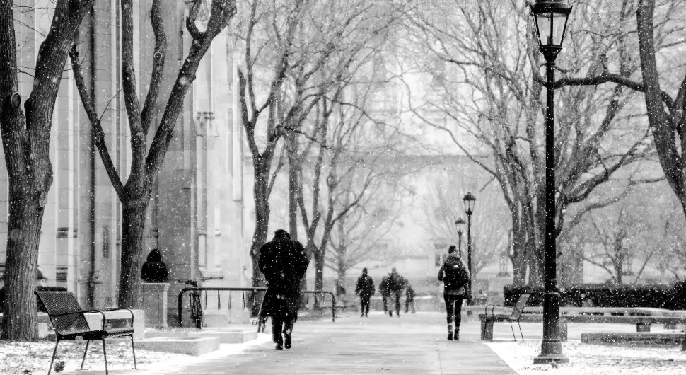 Зимска олуја