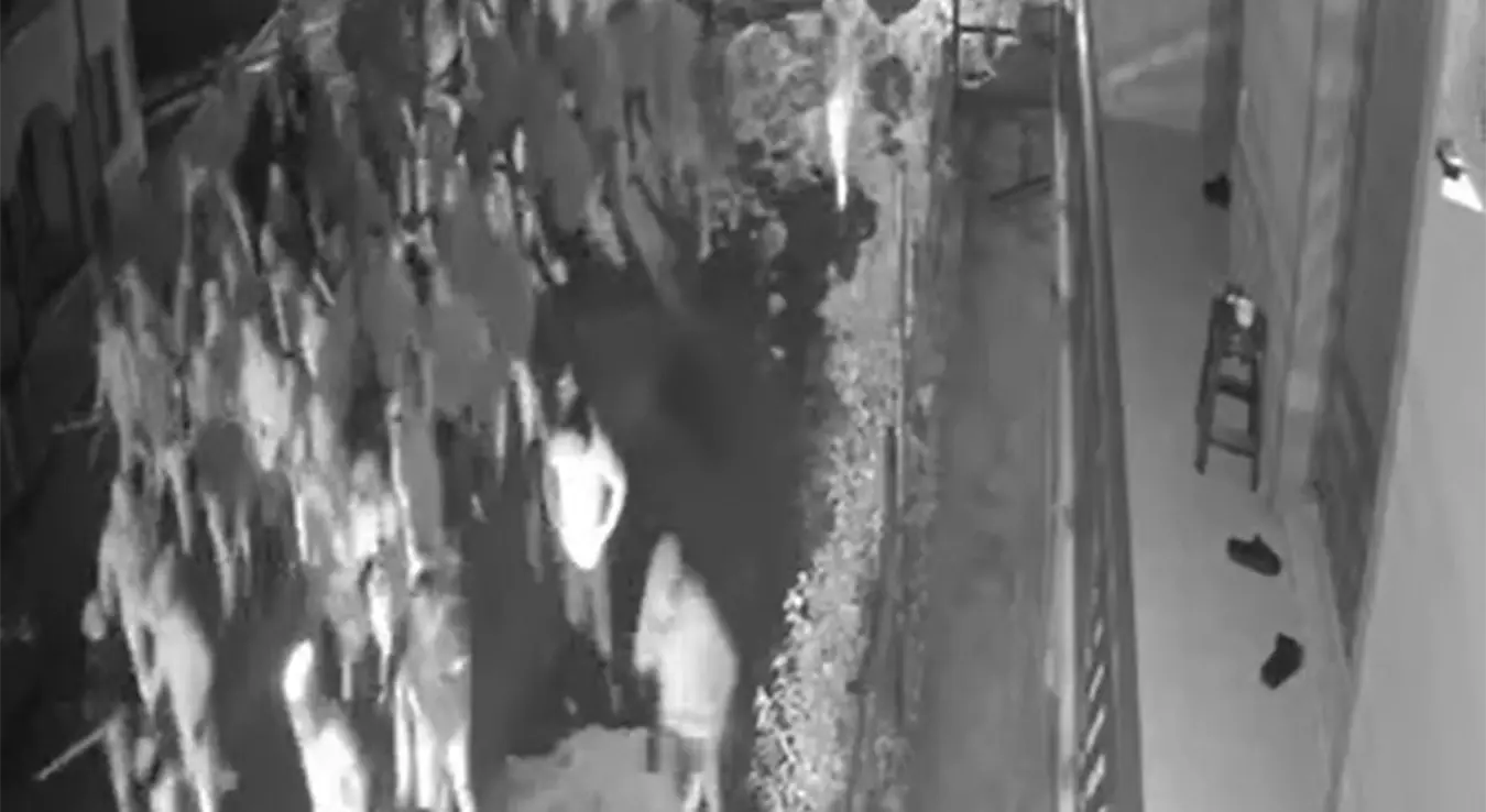 Језиво! Нови снимак хаоса из Тузле: Камере снимиле Торциду како с палицама креће на Делије