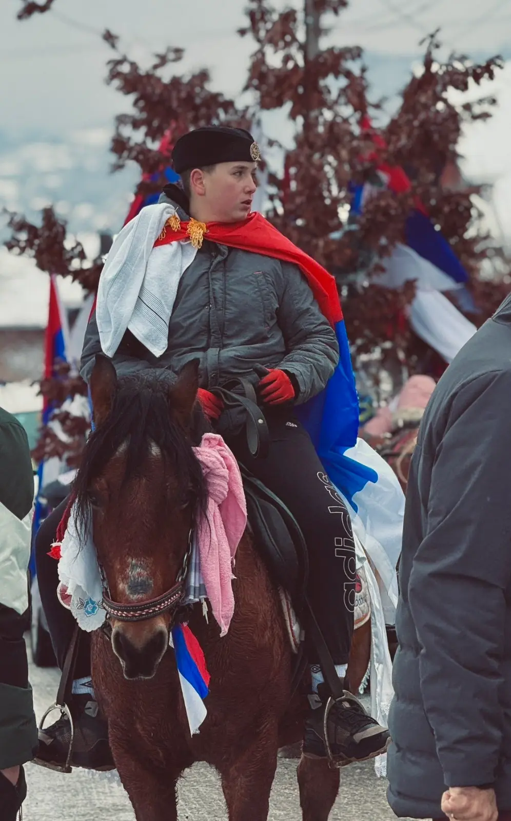 Бадњак ношен на коњима