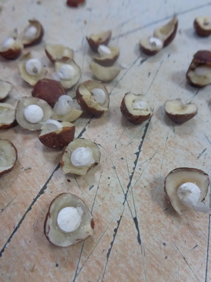 Кријумчарење дроге у затвор