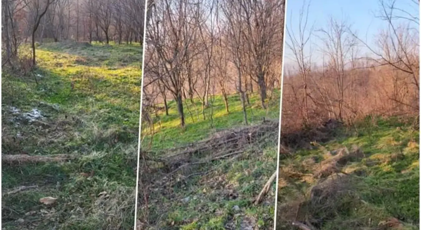 Продаје имање за 4.000 евра