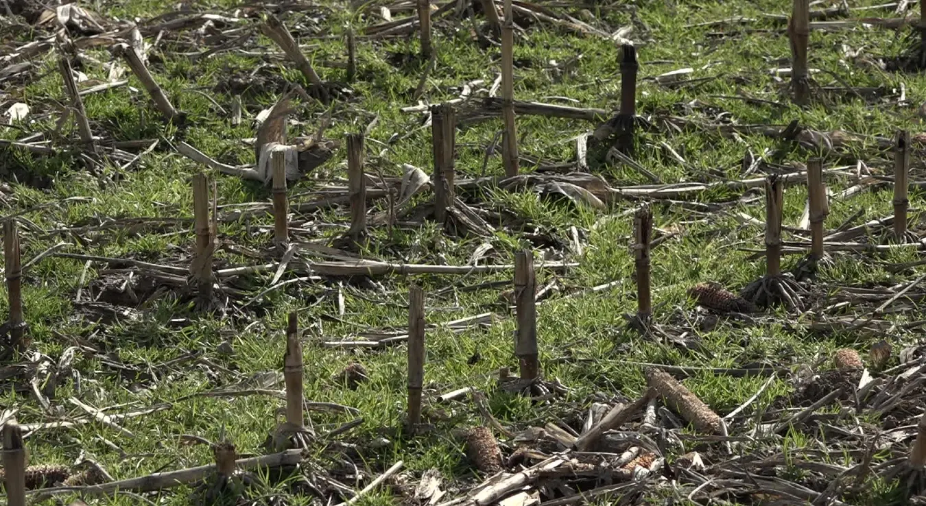 Припрема земљишта за прољећну сјетву